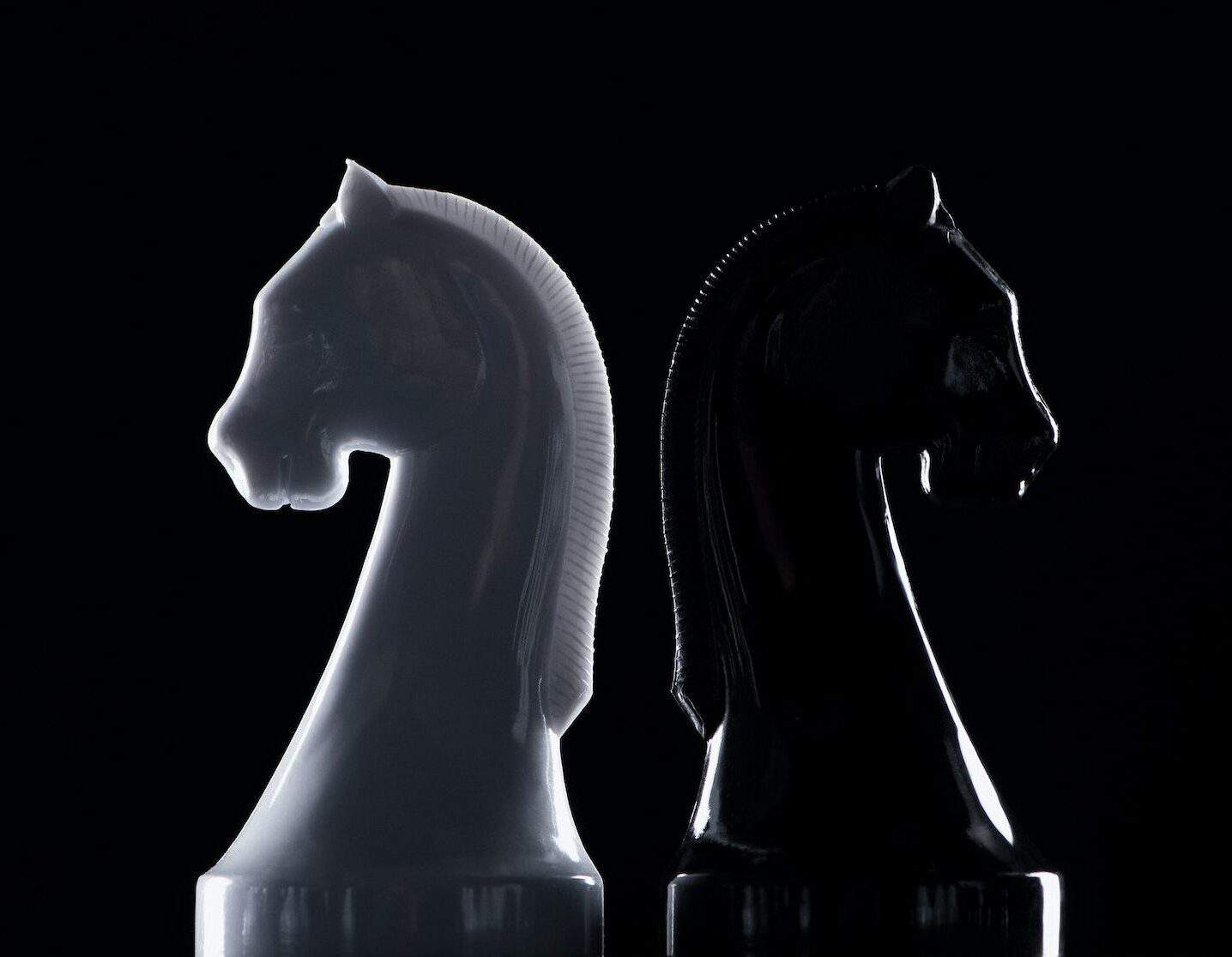 silhouettes of white and black chess knights isolated on black, business concept